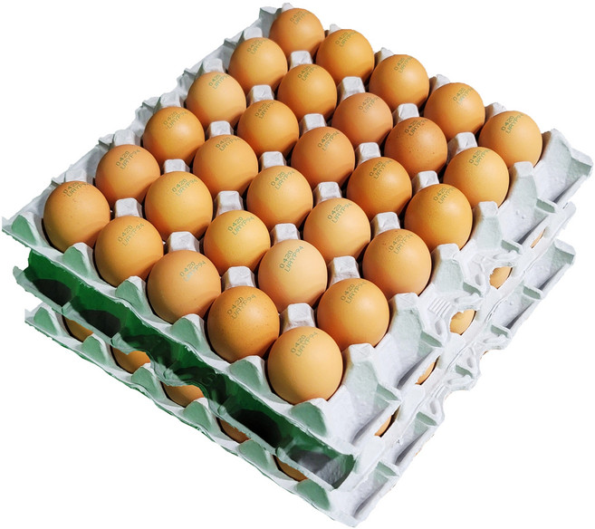난각번호3번 오늘낳은 무항생제 HACCP 특란 90구 무정란 생 계란 (30구x3판), 30구, 3개
