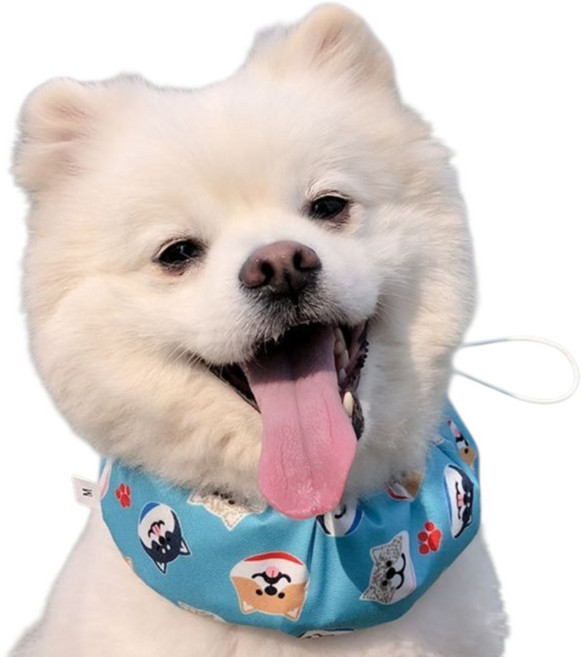 강아지 쿨 스카프 머플러 케이프 목도리 시원한 여름 애견 쿨링 대형견 소형견 중형견 반려견 옷 아이스팩 파우치, M, 블루, 1개