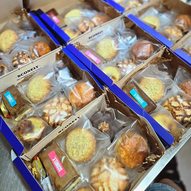 스코넬리 당일오전제조 스콘 쿠키 6입 답례품 선물세트, 480g, 1세트