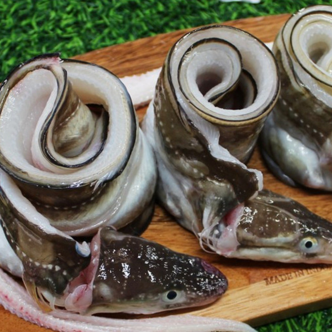 통영 자연산 손질 바다장어 1kg + 소스 2종, 10개, 손질후 750g(4~5미)머리뼈 유