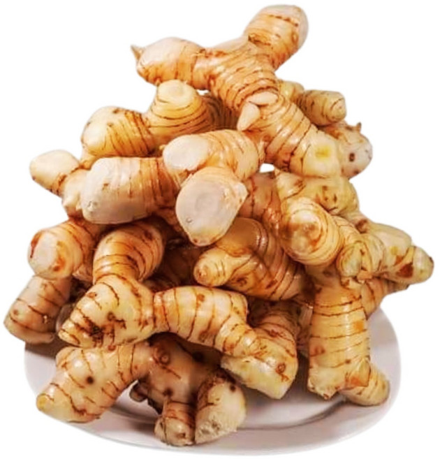 Vmart galangal 태국 강랑가 갈랑간 CU RIENG cu gieng, 250g, 1개