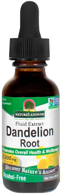 네이쳐스앤서 단델리온 2000mg 리퀴드 알코올 프리, 1개, 30ml - 쿠팡