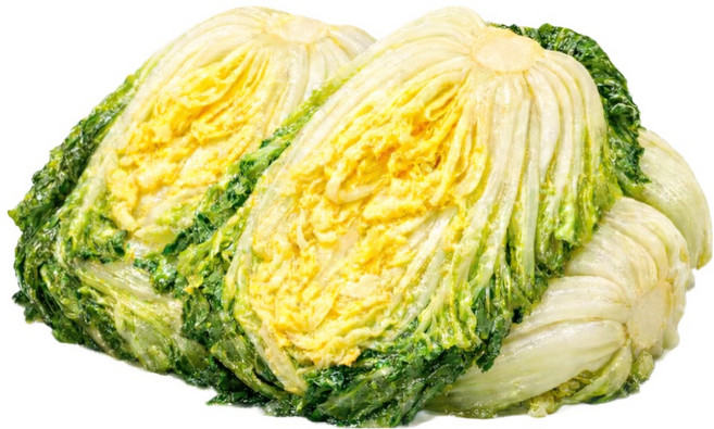 해남배추 해남 절임배추 직접 재배한 배추 절임20k, 20kg, 1박스, 3월 출고(주문후 다음날 발송)