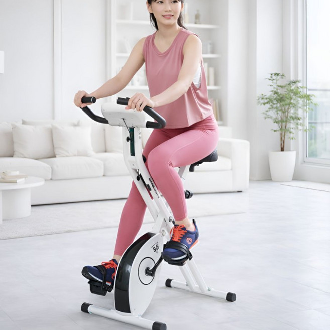 비앰비스포츠 접이식 실내 자전거 바이크 운동기구 사이클 모음, BSI-F14