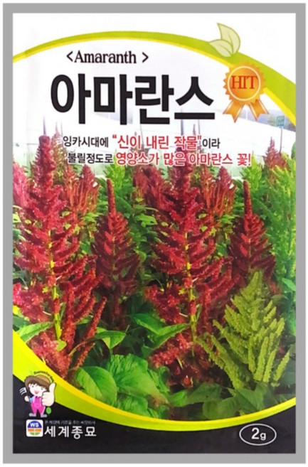 아마란스 꽃씨 2g, 1개
