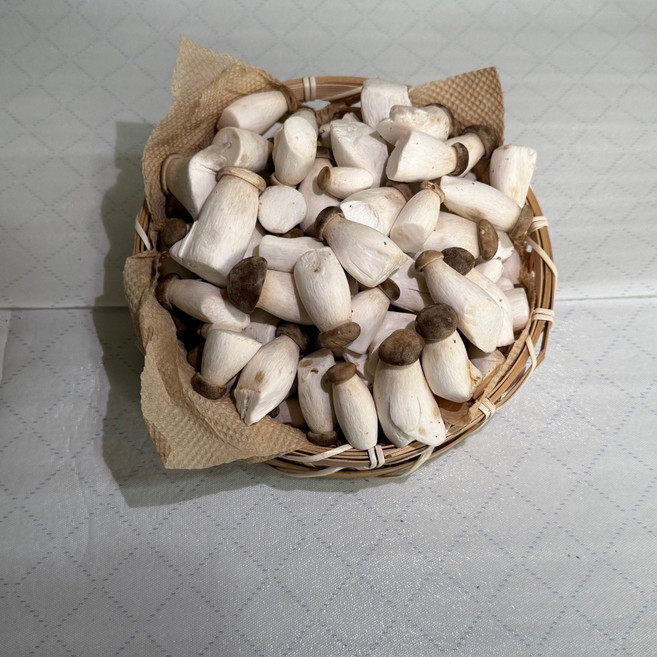 팜n팜 친환경 새송이 버섯, 1박스, 새송이 특 1kg