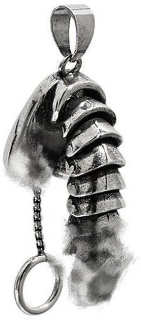 [테토남] 고추목걸이 팬던트 곧휴 패션 여자 남자 커플 목걸이