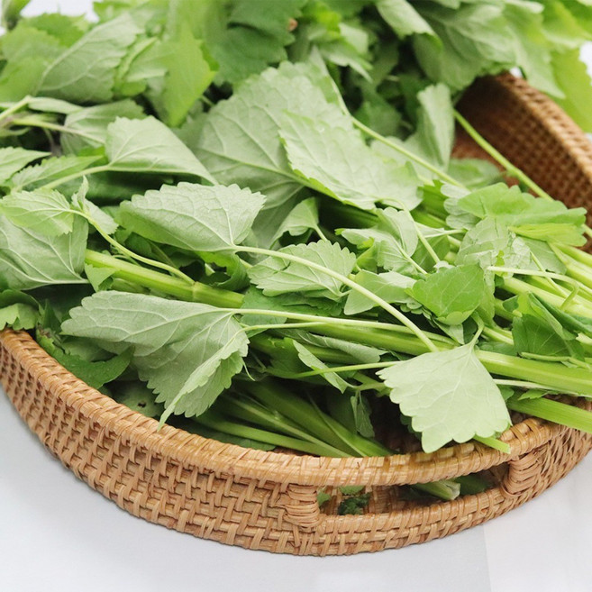 베지토피아 국내산 생 방아잎 1kg 2kg 배초향 방아 산초 향신료 초피 제피 [원산지:국산], 1개