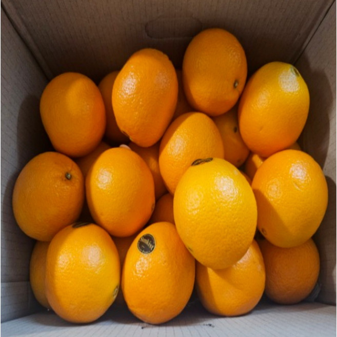 썬키스트 고당도 오렌지 블랙라벨 달콤상큼한 오렌지 프리미엄 오렌지, 1개, 중대과 (20개입)