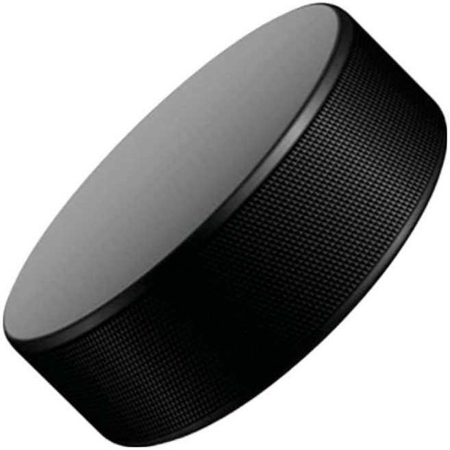 소프트 하키퍽 아이스하키 스펀지 하키퍽, 1개, 1개