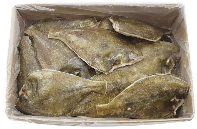 손질 두절가자미 4.5kg (150200), (박스)손질가자미(20~30마리)_4.5kg, 1개