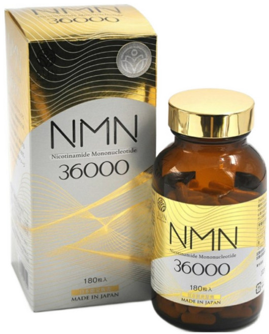 스타일 재팬 STYLE JAPAN 고순도 고용량 NMN 36000 3개월 180캡슐, 1개, 180정