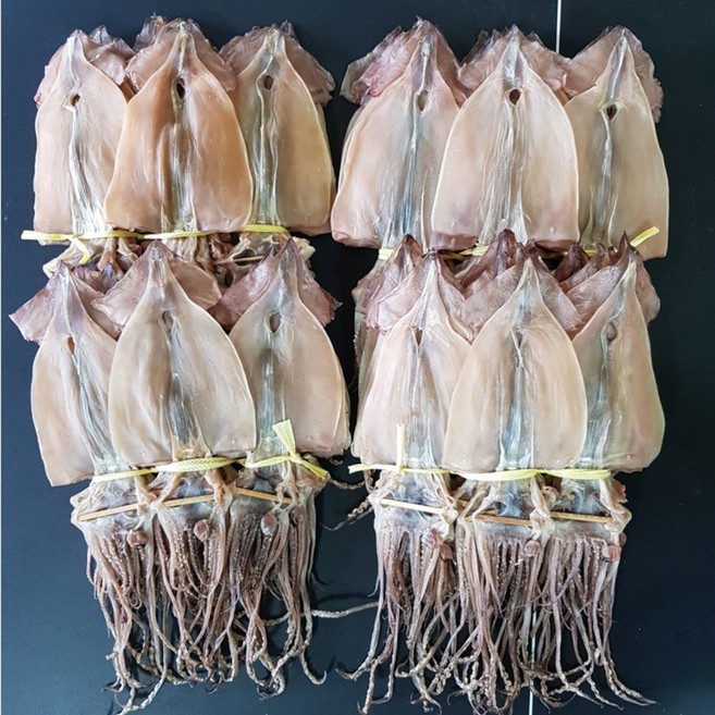 [서민갑부 오징어] 천해수산 건조 마른오징어 20마리 한축 건오징어, 마른오징어 소 20미 한축 (1.0kg내외), 1세트