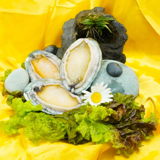 완도산 보양식 손질 전복 실속 선물세트 이바지 폐백 버터구이 전복죽 명절선물 복날 추석, 1개, 프렌즈 활력전복(14-16미) 1kg 요리m