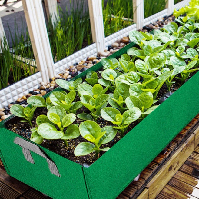 부직포 (직사각형) 화분 실내 베란다 텃밭 가꾸기 정원 홈가드닝 도시농업, 검정색(50x30x20)