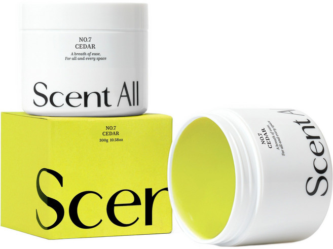 센트올 실내탈취제 시더향 화장실 담배 새집증후군 실내 집안 홀애비 옷장 냄새 제거, 300g, 1개