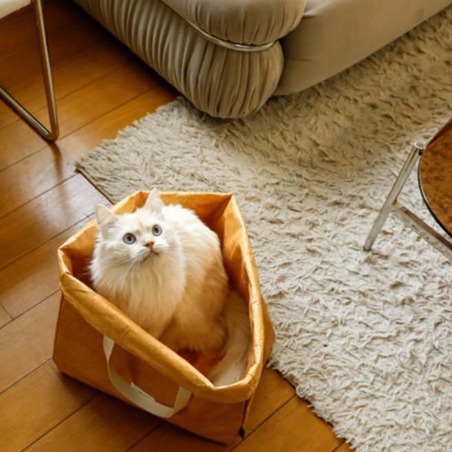 반짝 블랑제리 프리미엄 타이벡원단 고양이 바스락 장난감, 1개