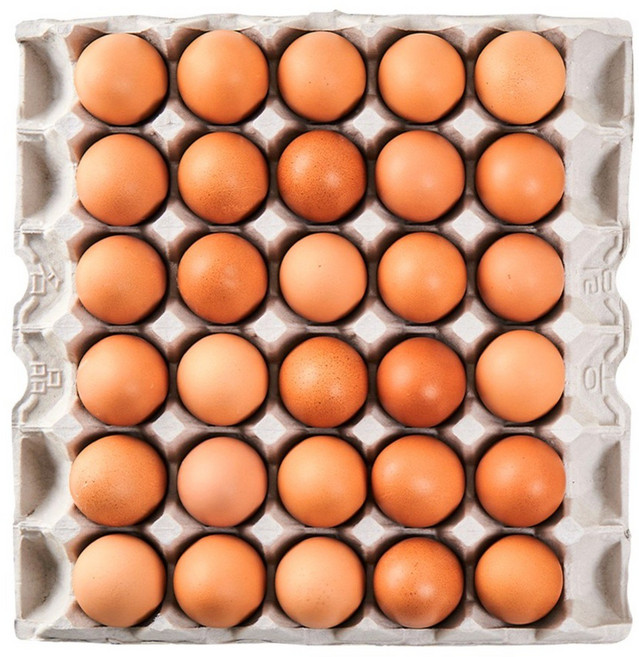 [더싱싱] HACCP 맥반석 구운계란 구운란 대란, 30구, 1개