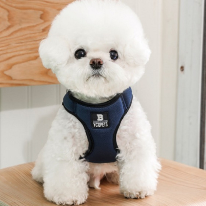 펫올웨이즈 기본형 통풍 강아지 하네스 리드줄 세트, 네이비