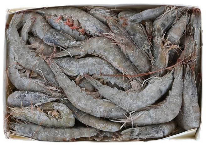 업소용 페루산 흰다리새우 냉동 왕새우 생새우 제철 대하, 12kg [2kgX6팩] 중 40/50, 1박스, 12kg