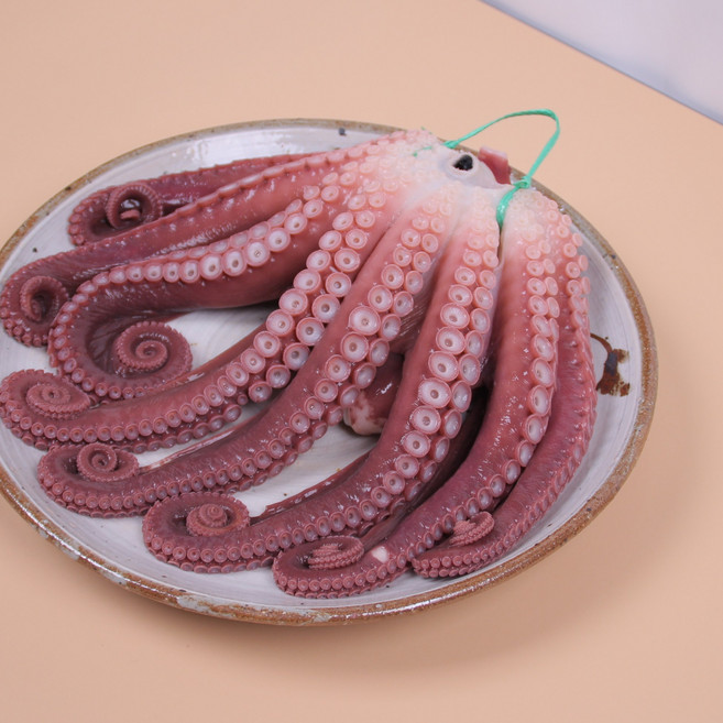 [국산]자숙돌문어 돌문어 국산문어 신선식품, 1개, 1.5kg (1kg내외)