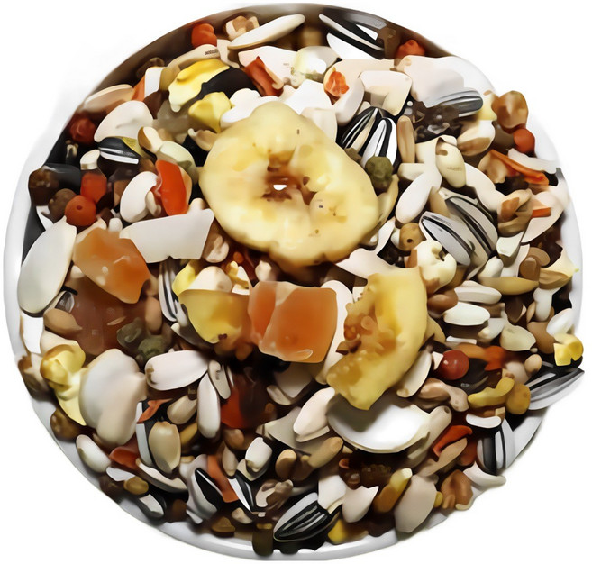 델리네이쳐 메뉴 코뉴어 퀘이커 사료, 800g, 3개