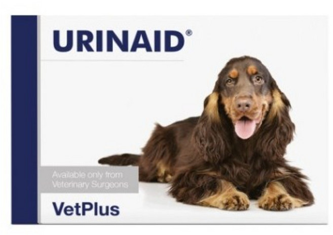 벳플러스 강아지 유리네이드 영양보조제, 80g, 유리너리+장건강, 1개