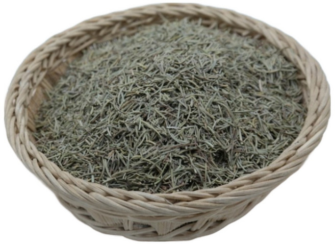 로즈마리(300g)-이집트, 300g, 1개입, 1개