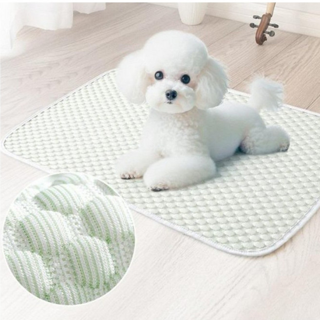 강아지 3D 쿨매트 방석, 그린, 1개