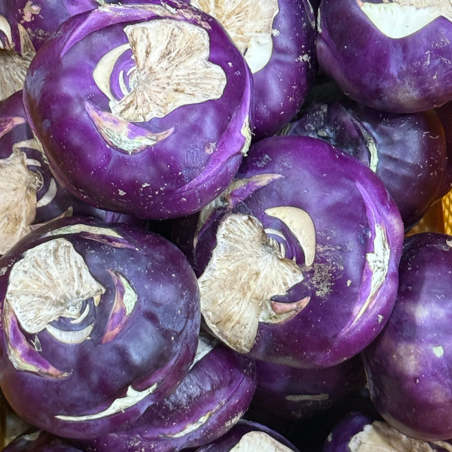 <농부바구니> 아삭달달한 제주 콜라비, 1박스, 실속 콜라비 5kg