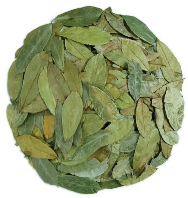 백장생 그라비올라잎 건잎 400g, 100g, 1개, 통그라비올라100g 1개