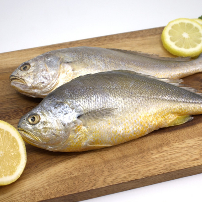 법성포 영광 굴비 반건조 부세조기 부세굴비 특대 28cm내외 3미, 굴비 280gx3팩