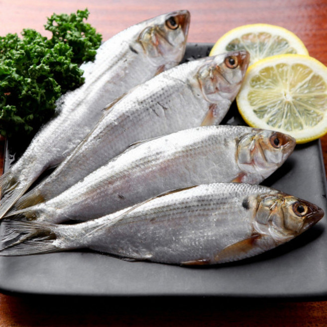 남해안 급냉 구이용 전어1kg (15미내외, 1박스, 전어2kg