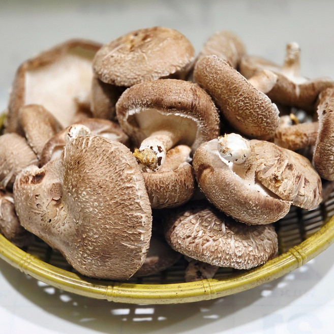 [예산농장-생 표고버섯] 못난이 생표고버섯 1kg / 김장용 /육수용/가루용/식당용/대량용 산지직송, 6kg