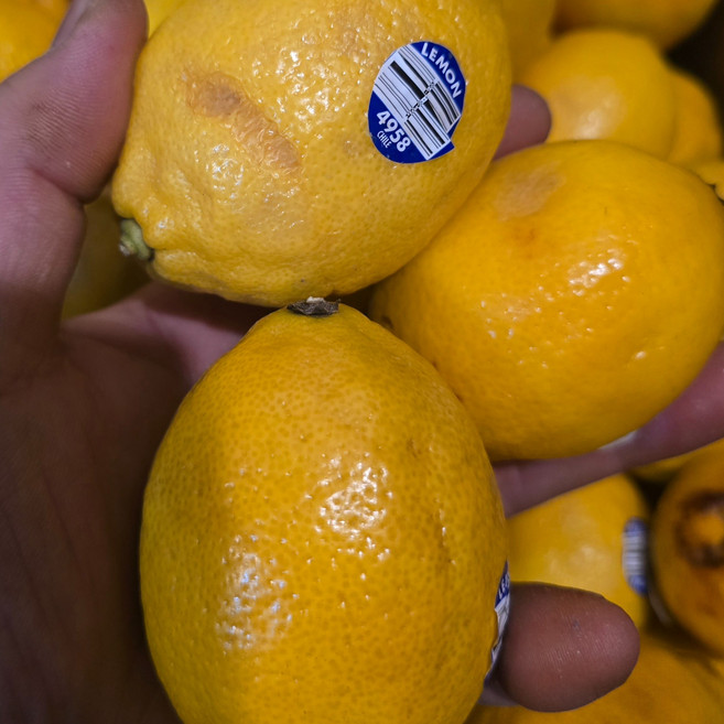 팬시 레몬 못난이 가정용 랜덤과, 10kg, 1개