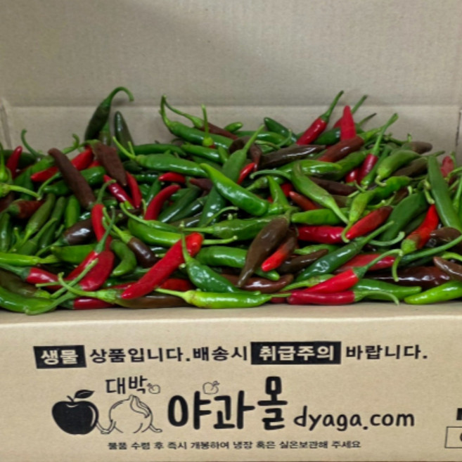 국내산 반홍 청양고추 1kg 야과몰 | 신선한 매운 고추 도매시장 경매 직송, 1박스