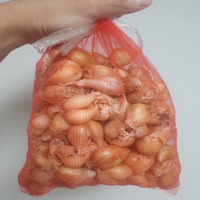 쪽파씨앗 1kg 국내산 쪽파 종구 쪽파종자 쪽파 모종 씨 씨앗 키우기 김장씨앗 모음 예천쪽파, 1개