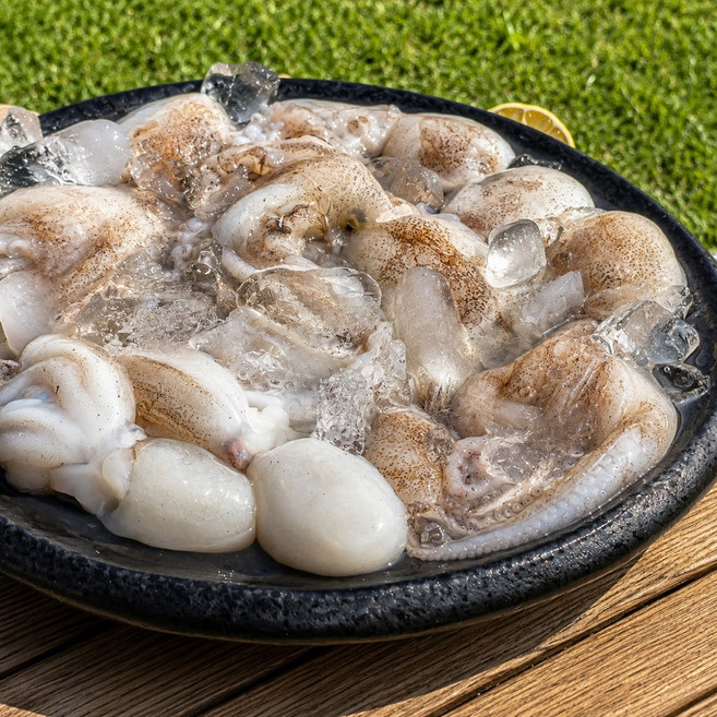 [재구매1위] 산지직송 알배기 쭈꾸미 봄 제철 알쭈꾸미 냉동 1kg, 1세트
