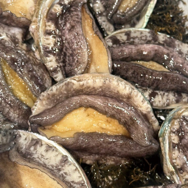 완도 전복 왕특대 직거래 1kg, 1개, 9-10미