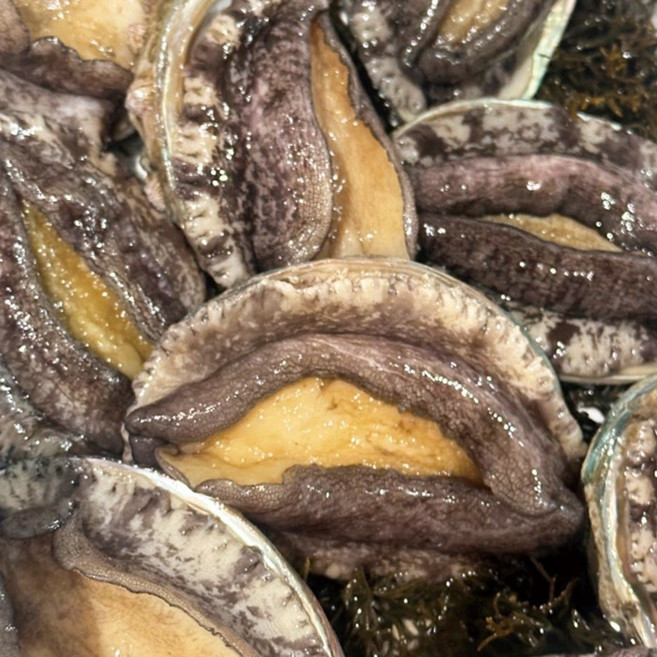 완도 전복 왕특대 직거래 1kg, 1개, 7-8미