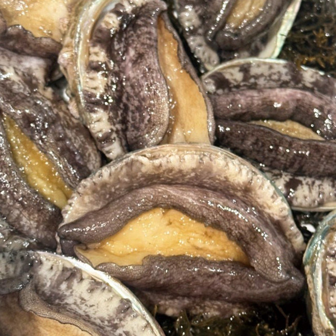 완도 전복 왕특대 직거래 1kg, 1개, 왕왕특대6미