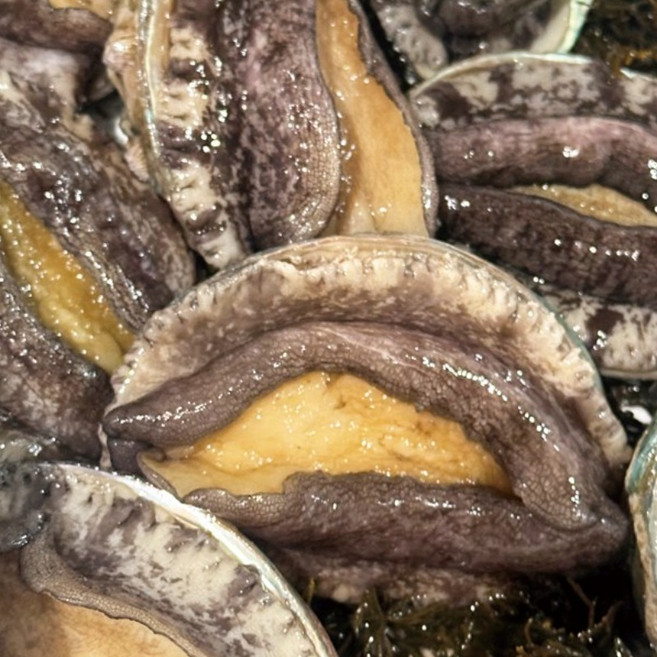 완도 전복 왕특대 직거래 1kg, 1개, 11-12미