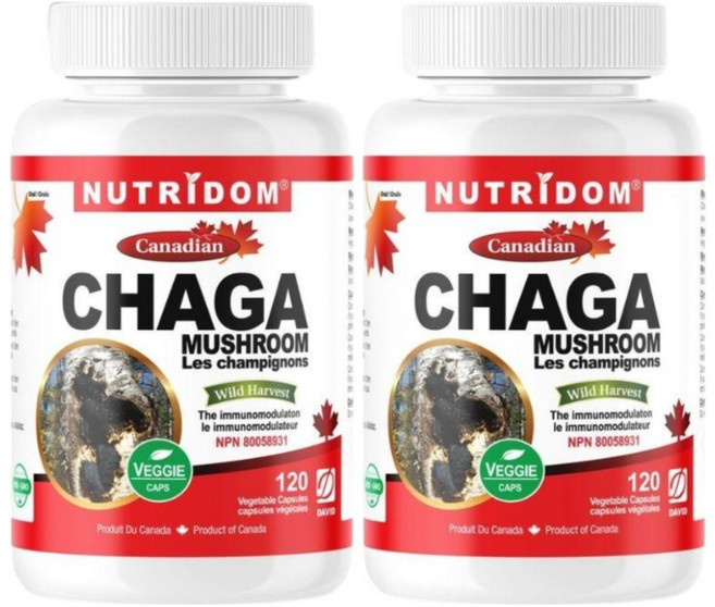 (2병) 뉴트리돔 NUTRIDOM 차가버섯 캡슐 360mg 120 베지캡슐