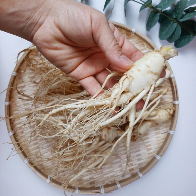 100% 국내산 금산인삼시장 세척인삼 5년근 수삼 6-8 뿌리 300g, 1개