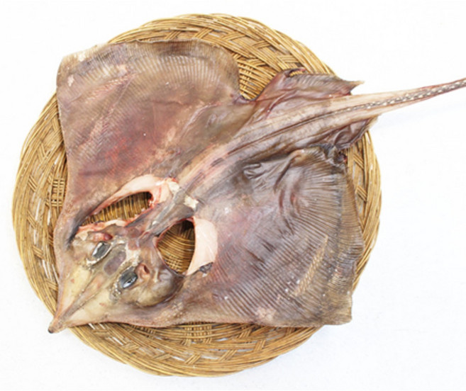 반건조생선 가오리 국산 1마리, 가오리 1마리 1.2kg 이상 43cm내외, 1개
