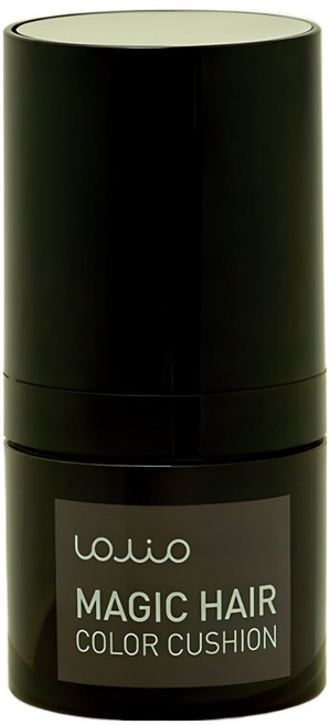 아미니 롤리오 1초커버 헤어 컬러 쿠션, 다크브라운, 2개