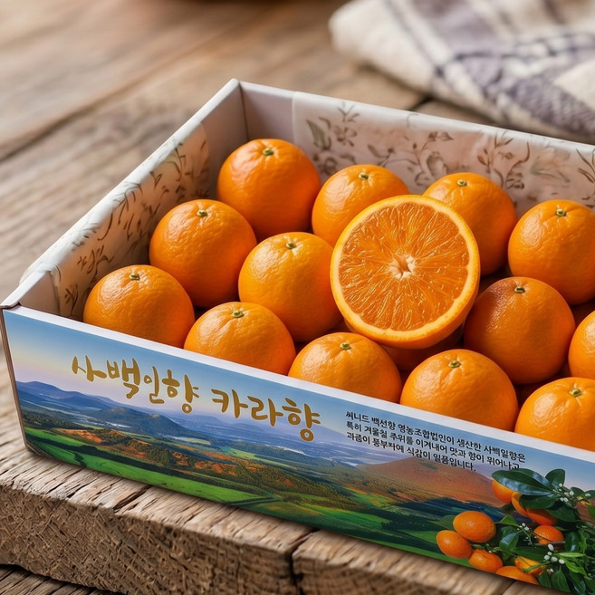 제주 카라향 선물용 5kg 10kg 고당도 서귀포 봄 귤 세진농원 사백일향, 1개, 5kg(가정용)