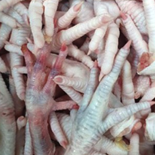 국내산 토종닭발 발톱제거 2kg 소포장 약용 토종닭발 발톱없어요, 1개, 토종닭발2kg(발톱제거)