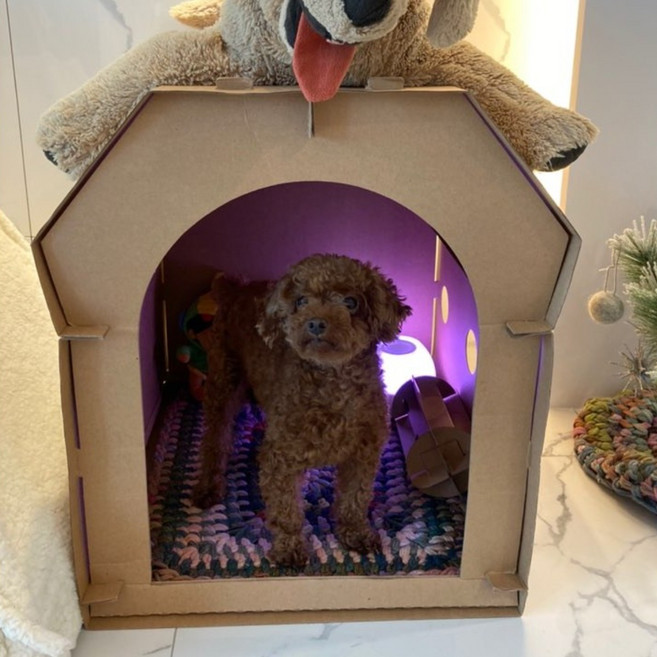 수그린하우스 중대형 강아지집 고양이 반려동물 길냥이 길고양이 급식소 애견 텐트 애완용품 하드하우스, 브라운, 1개