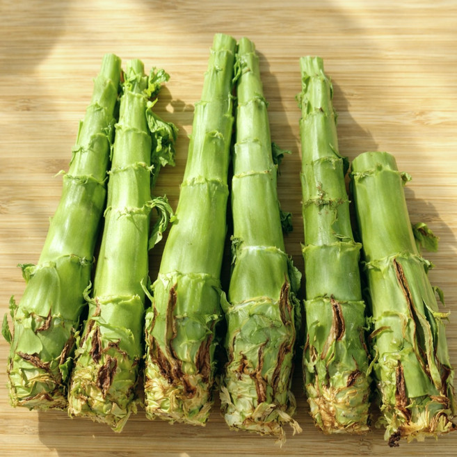 [한정수량] 오독오독 아삭한 국산 생 궁채 산지직송 친환경 인증, 1박스, 1kg